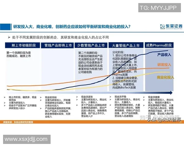 上海篮球队技术分析与战术创新的深度探讨与展望 上海篮球队技术分析与战术创新的深度探讨与展望