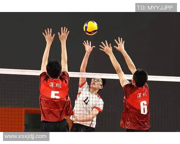 排球团队协作实力榜单揭晓西安排球队荣获第五名佳绩