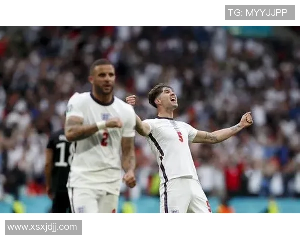 武汉网球队在欧锦赛上的拼搏历程与荣耀时刻的特别报道