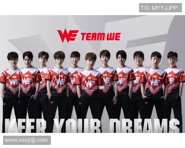 独家深度解析WE战队当前状态与历史表现的全面对比分析