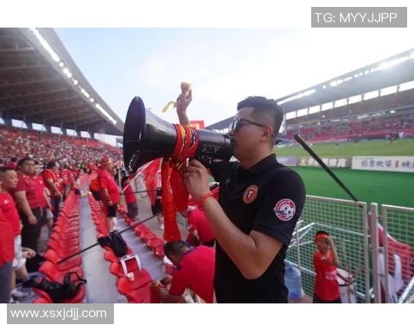 足球观众哦：探讨球迷文化与激情对比赛氛围的影响与意义