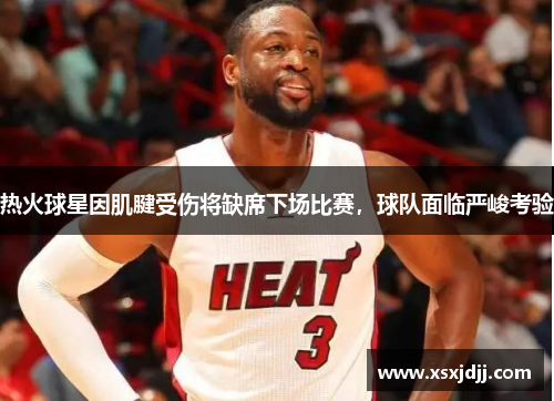 热火球星因肌腱受伤将缺席下场比赛，球队面临严峻考验