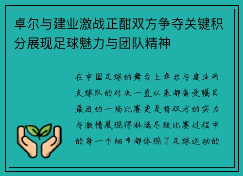 卓尔与建业激战正酣双方争夺关键积分展现足球魅力与团队精神