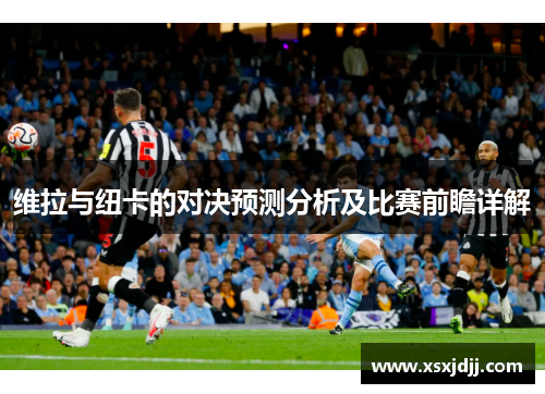维拉与纽卡的对决预测分析及比赛前瞻详解